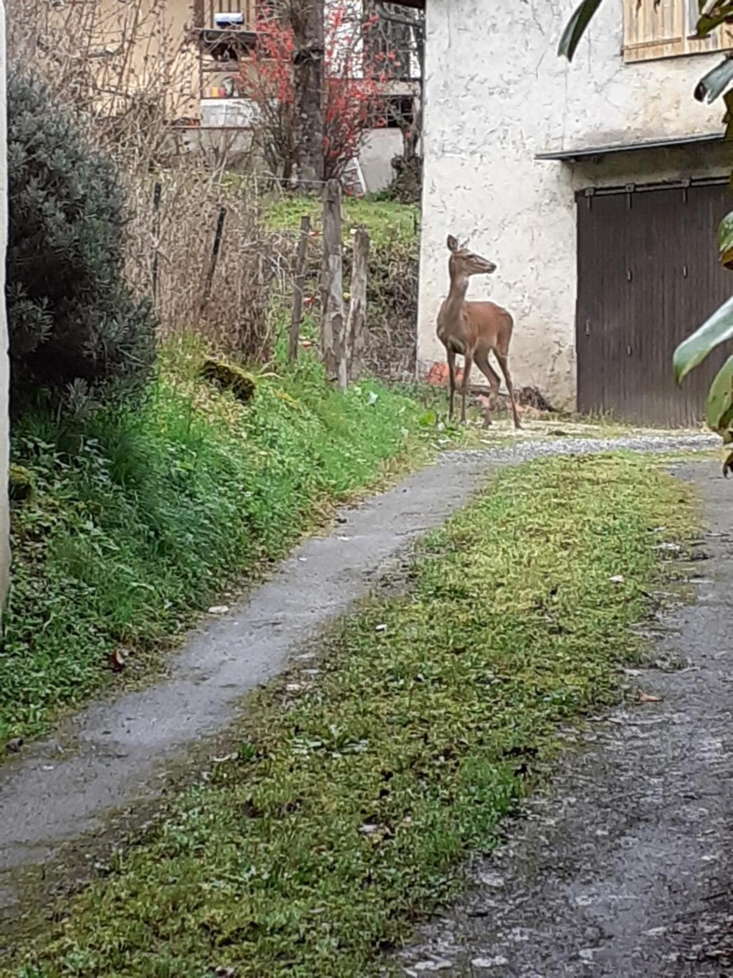 Gite De La Ouedolle Sengouagnet Buitenkant foto
